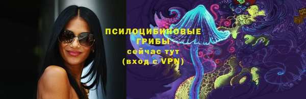 эйфоретик Алзамай
