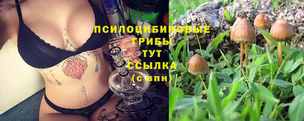ешки Алексеевка