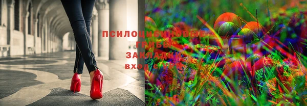 эйфоретик Алзамай